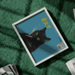 Cool Cat Chronicles